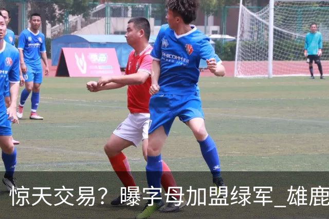 惊天交易？曝字母加盟绿军 雄鹿为布朗寻找第三方